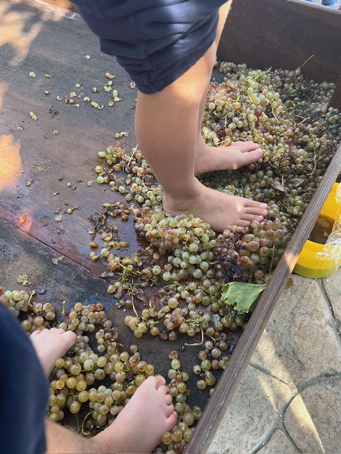 wine 5